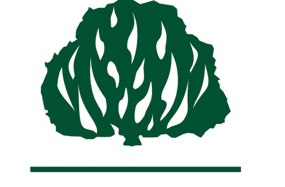 Logo da Igreja Presbiteriana do Brasil